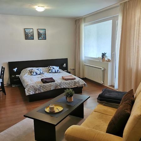 Sunny Studio Apartment - Few Steps From Gondola Bansko Exteriör bild