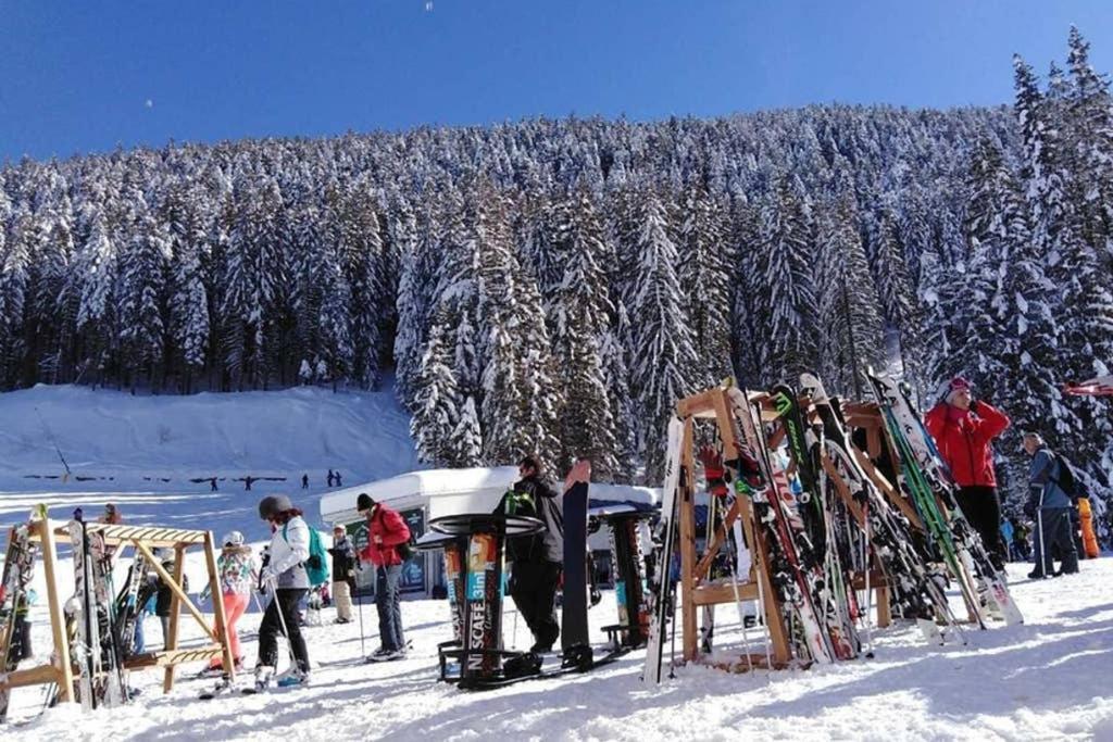 Sunny Studio Apartment - Few Steps From Gondola Bansko Exteriör bild