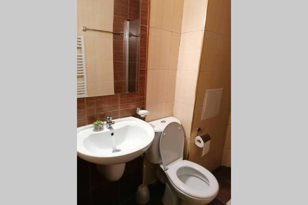 Sunny Studio Apartment - Few Steps From Gondola Bansko Exteriör bild