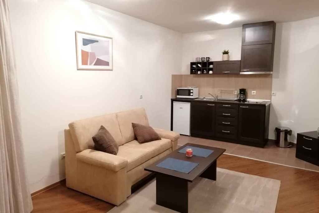 Sunny Studio Apartment - Few Steps From Gondola Bansko Exteriör bild