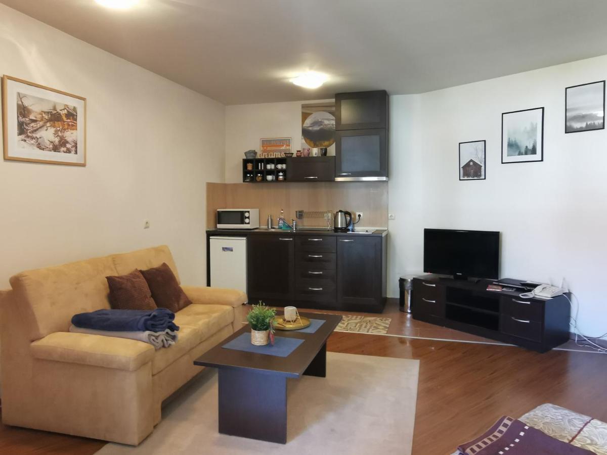 Sunny Studio Apartment - Few Steps From Gondola Bansko Exteriör bild